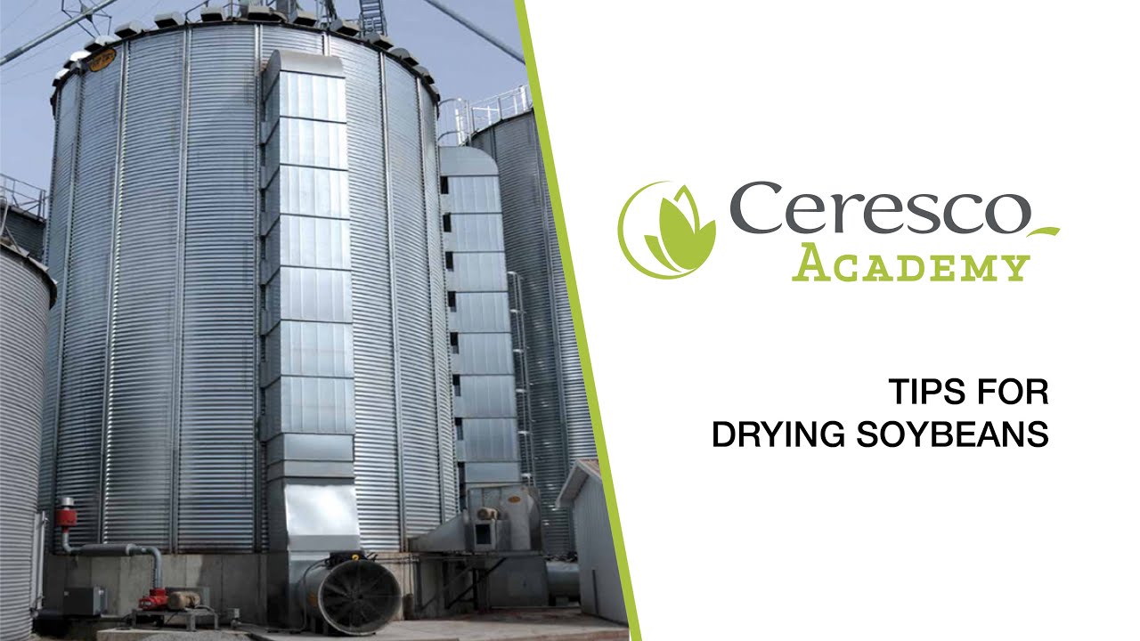 Ceresco Academy - Tips for drying soybeans