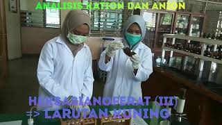 Identifikasi kation dan anion kimia ...