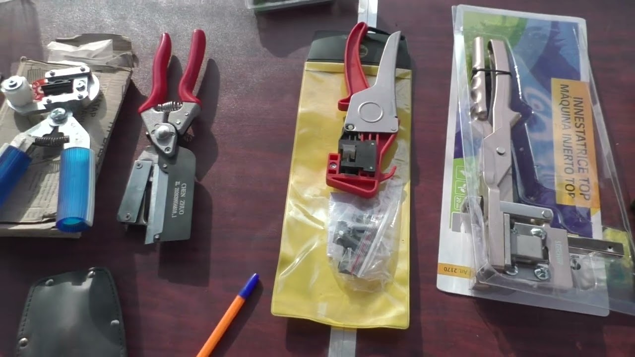 Огляд інструментів для щеплення, цінова політика їх.