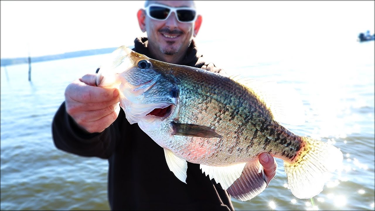 This Lake Was LOADED With GIANT Crappie Lake Of The Pines Texas Pt 1 This Lake Was LOADED With GIANT Crappie Lake Of The Pines Texas Pt 1