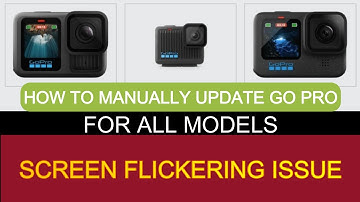 Go Pro Screen Flickering Issue/How To Manual Update For All Go Pro Model