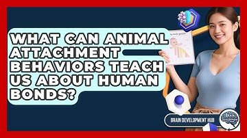 What Can Animal Attachment Behaviors Teach Us About Human Bonds? - Brain Development Hub