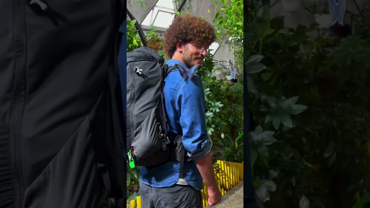 Exploring a Magical Butterfly Heaven! 🦋✨