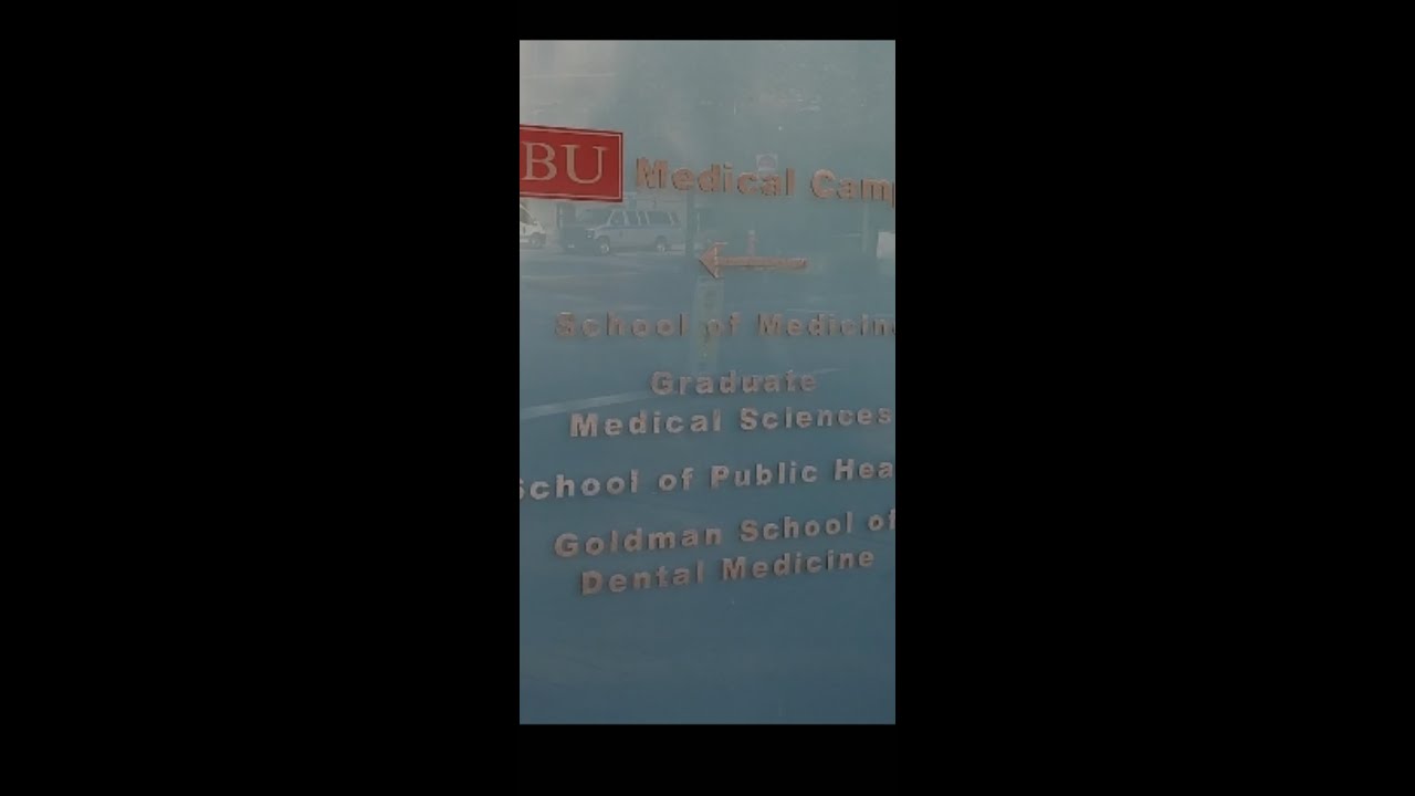 BU dental school during the pandemic YouTube