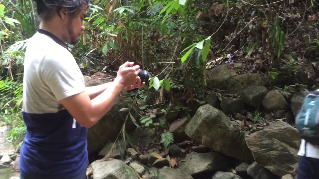 River walk at Mount Pulai (Gunung Pulai)