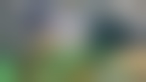 Anterior Lumbar interbody fusion (ALIF)