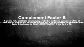 Medical vocabulary: What does Complement Factor B mean