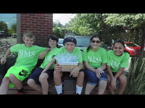 International Peace Day 2017