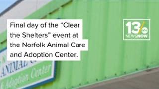 Final day of the “Clear the Shelters” event at the Norfolk Animal Care and Adoption Center