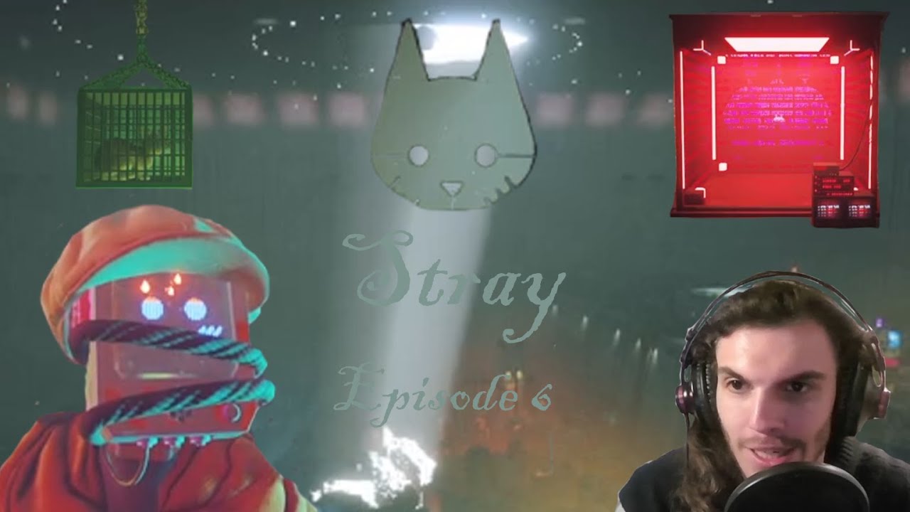 Stray Episode 6