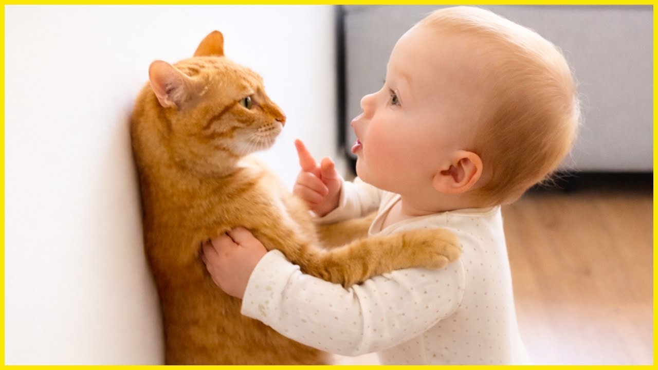 Funny Baby and Cat Moments You’ll Love || Peachy Vines