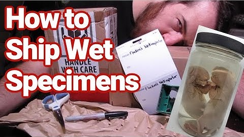 How to Ship Wet Specimens | Skulls | Diaphonizations