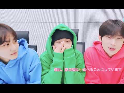 ILAND観た感想🦊🐈🐆