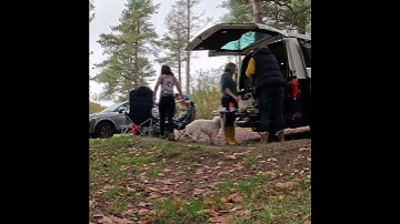 The best day van/campervan set up for day trips and touring.