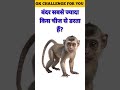 99% नहीं जानते बंदर का सबसे बड़ा डर क्या है? 😱 | GK Quiz | #generalknowledge #shorts #gk #viral