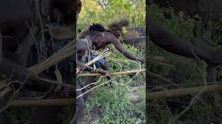 Hadzabe Hunters Track Wild Animals Deep in Tanzania's Ancient Forest