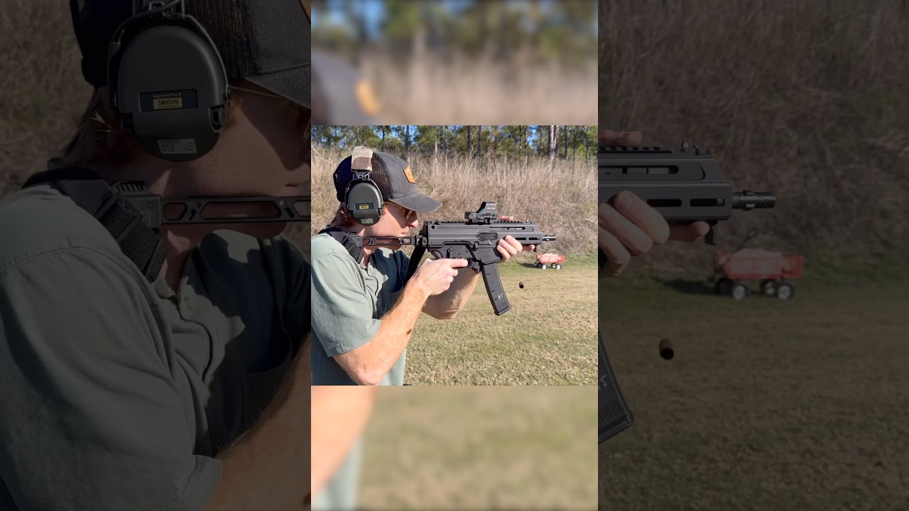 Каков мой окончательный вывод относительно спрингфилдской куны?