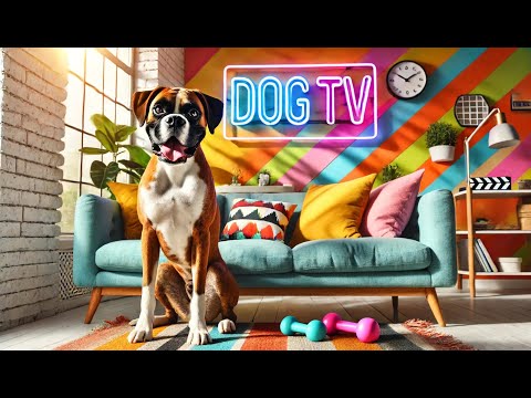 Dog TV: 12