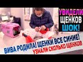 Наша собака родила! Таких щенков мы еще не видели!!! Что с ними не так?