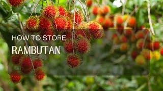 How to Store Rambutan?