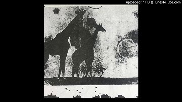 Mentocome - Untitled A1 (afars & issas)