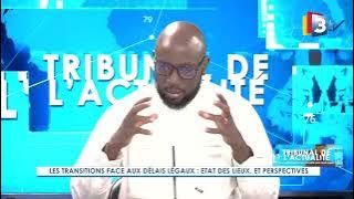 3TV-Le Tribunal de l'Actualité du 15 avril 2024