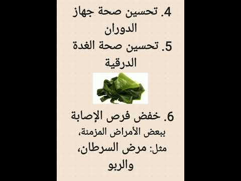 فوائد طحالب البحر     الصحة صحتي  طحالب أعشاب سوشي