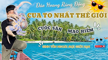 PHẦN 28: 🔥 Cả Đảo Hoang Rúng Động Vì Tiệc Hải Sản Khủng: Săn Cua Khổng Lồ - Tôm Hùm, Ốc, Lợn Rừng