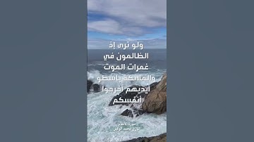 سورة الأنعام - القارئ محمد الوكيل