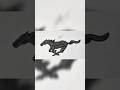 FORD MUSTANG HORSE Logo Drawing Ford Mustang Shorts 