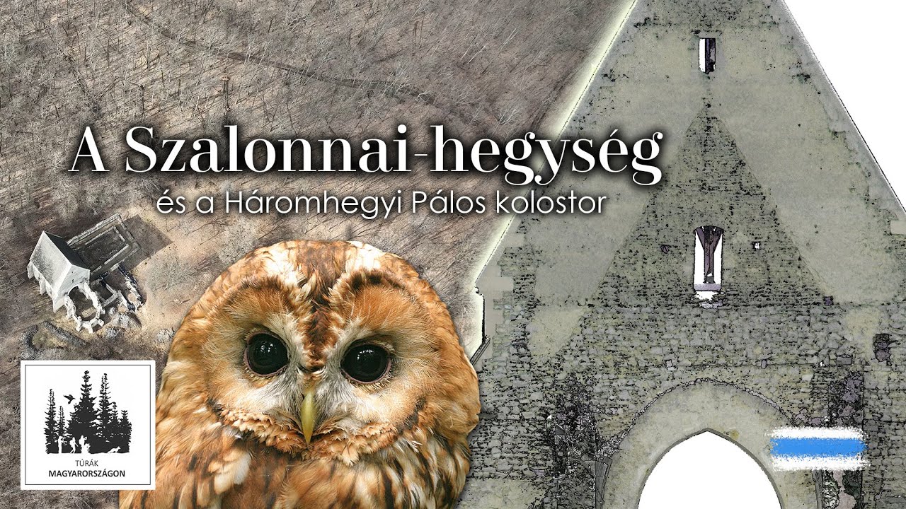 A Szalonnai-hegység és a martonyi Háromhegyi Pálos templom és kolostorrom