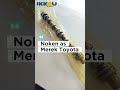 "NOKEN AS/CHAMSHAFT TOYOTA 60-6FDN30 ENIGINE 1DZ" #trending #mekanik #forkliftparts #jualsparepart