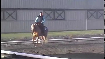 Hazel- Western Dressage Basic 4 - Donida Farm 14Dec14