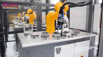 Tool Setting Probe Z-Nano: Measurement of Polishing Tools | Vermessung von Polierwerkzeugen