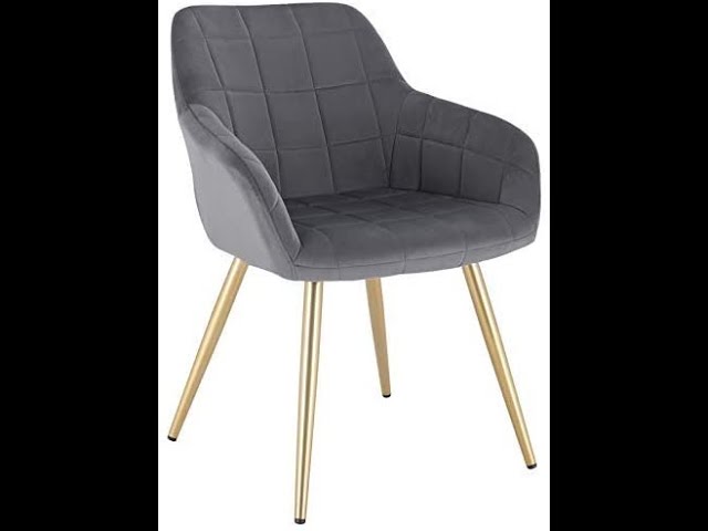 WOLTU 1 pièce Chaise de Salle à Manger Chaise de Cuisine rembourrée en  Velours 