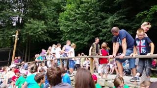 20140807 142611 eagle flying 2