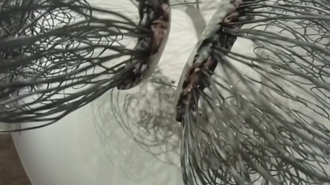 David Hollen Studio7