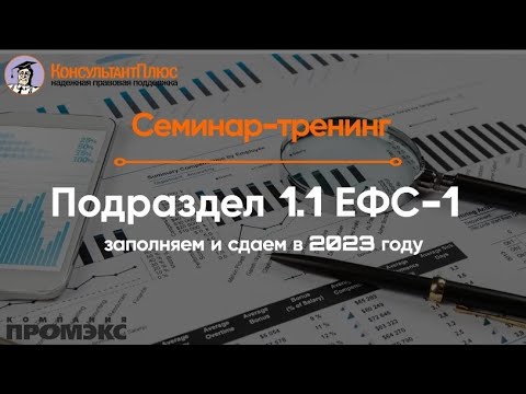 Подраздел 1.1 ЕФС-1: заполняем и сдаем в 2023 году