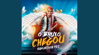 Vida Louca (Cover)
