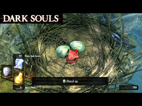 Vídeo: Dark Souls - Estrategia De Asilo De No Muertos