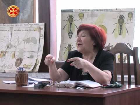 ლექციები მეფუტკრეობაზე 24 ( ჰემოლიმფა )