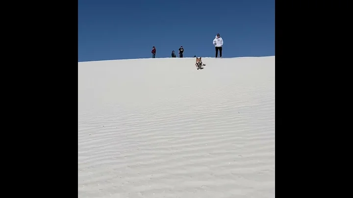 Lizzy at White Sands!
