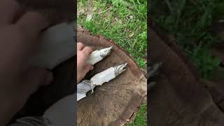 Белые Акулы из дамасской стали
