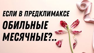 Если обильные месячные в предклимаксе #doctorberezovska #olenaberezovska #женскоездоровье #климакс