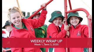 Weekly Wrap Up, Week 1, Term 3, 2020