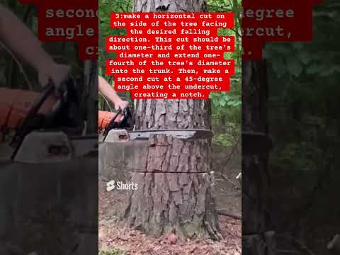 How to notch