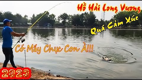 Câu Cá Tra Hồ Hải Long Vương Cùng Nhóm Bạn Quá Cảm Xúc