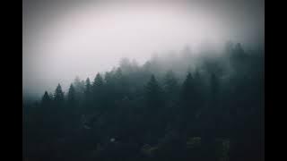 Download lagu Boheme - Tripped On love