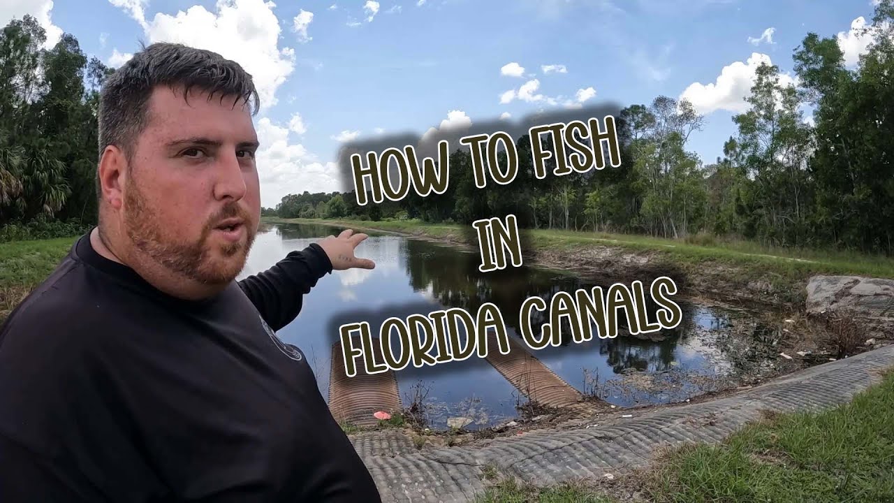 How To Fish In Florida Canals YouTube how-to-fish-in-florida-canals-youtube
