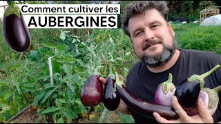 Comment cultiver les AUBERGINES 🍆